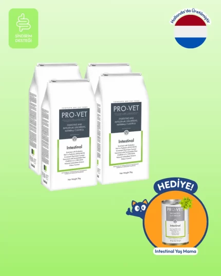 Avantajlı PRO-VET Intestinal Hassas Sindirim Gastrointestinal Kedi Maması