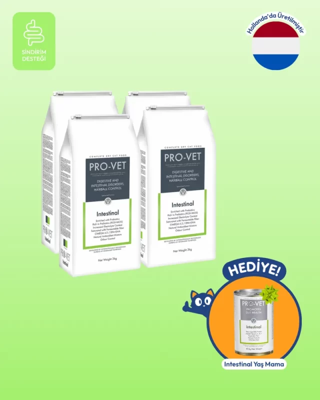 intestinal kedi mamasi 2