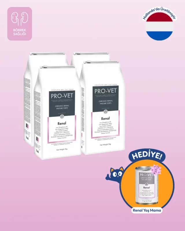 renal kedi mamasi 2