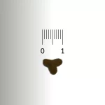 Avantajlı PRO-VET Adult Kısırlaştırılmış Kedi Maması - Görsel 4