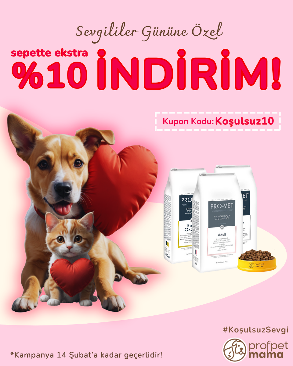 profpetmama sevgililer gunu m