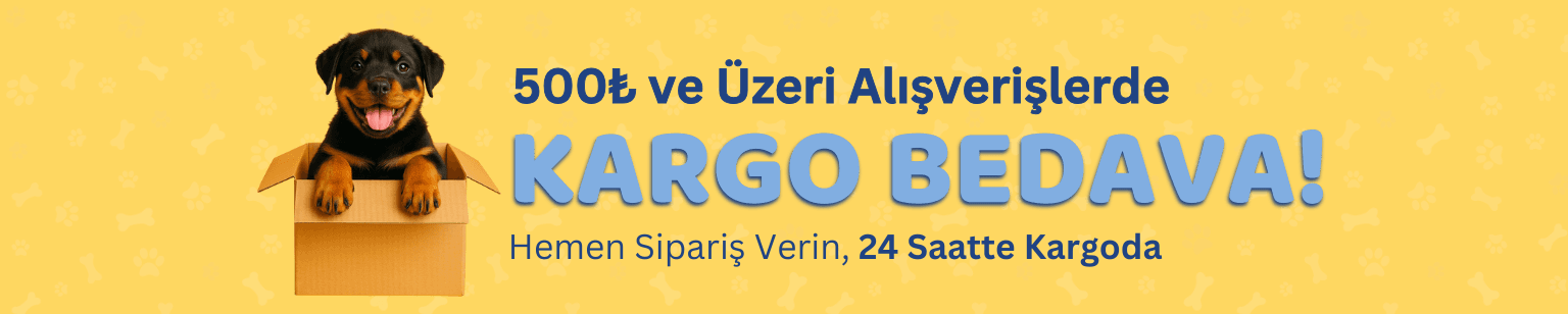 kargo bedava web