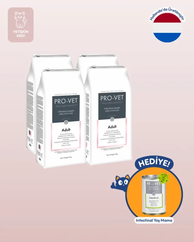 adult kedi mamasi 2