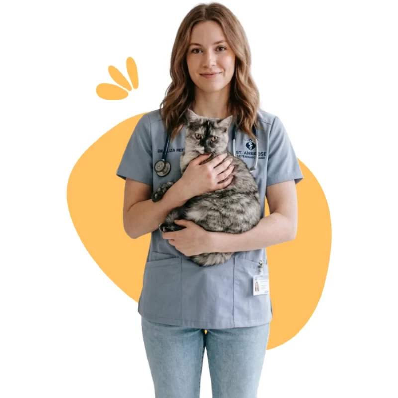 profpet mama aciklama bg