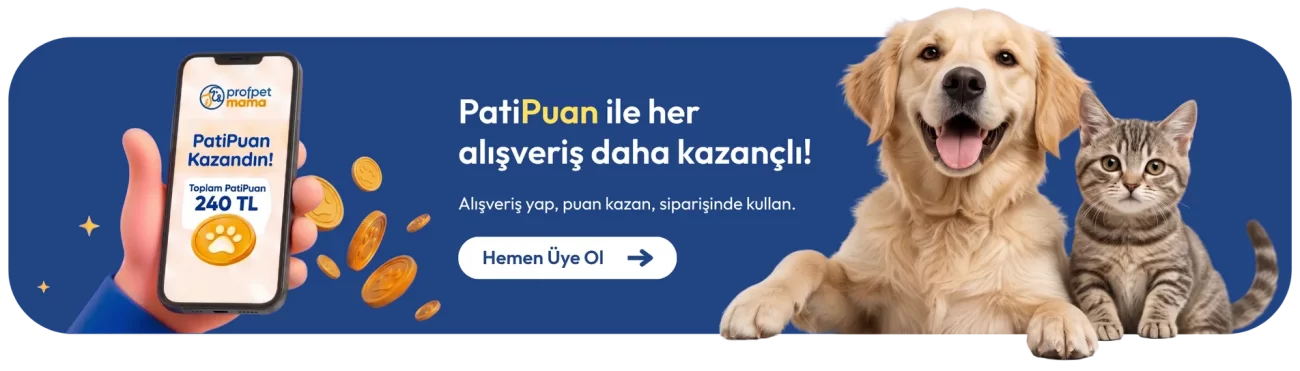 patipuan banner webp2